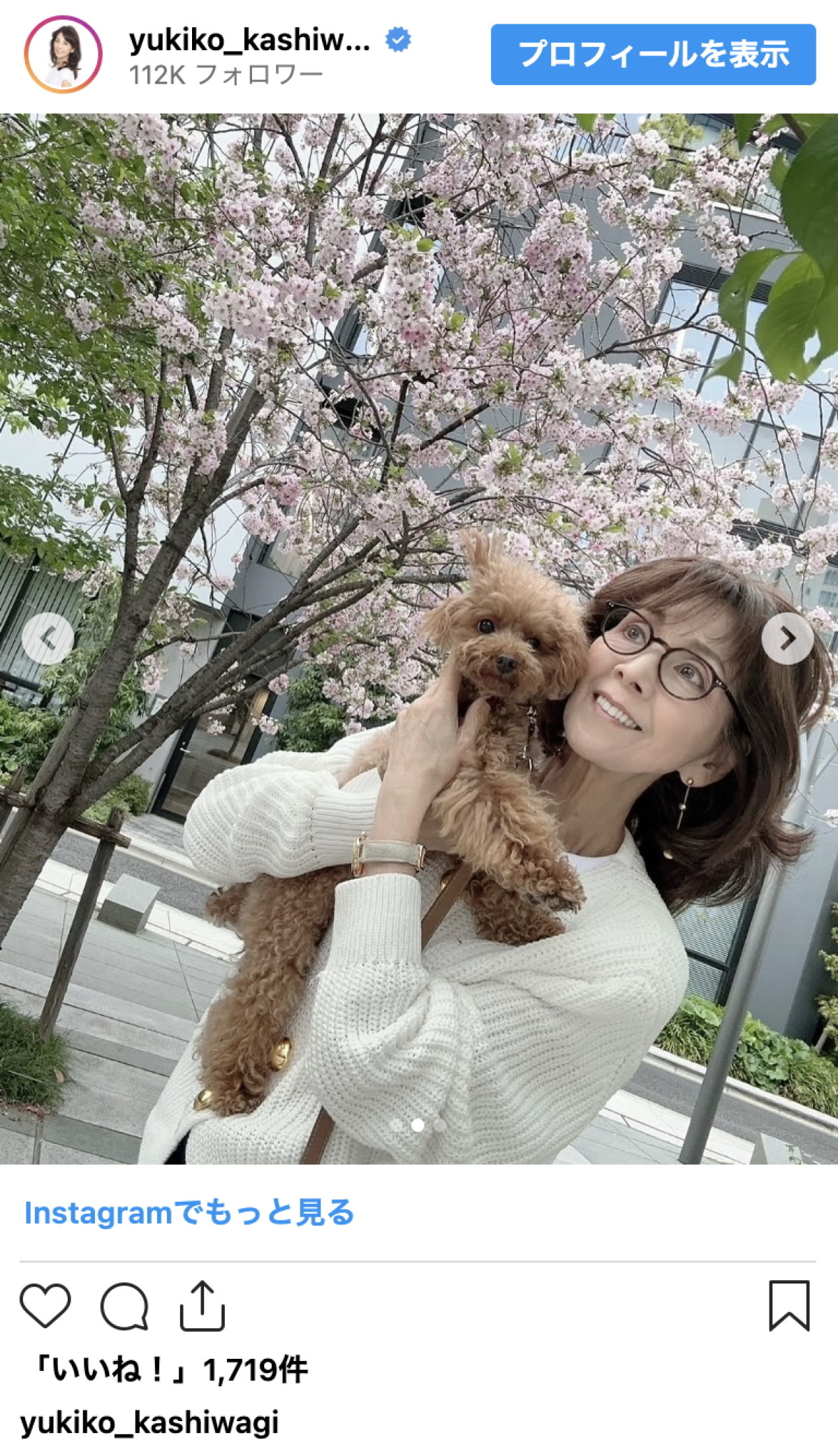 柏木由紀子77歳、年齢を忘れる透明感　春を楽しむワンシーンに「桜よりも綺麗」