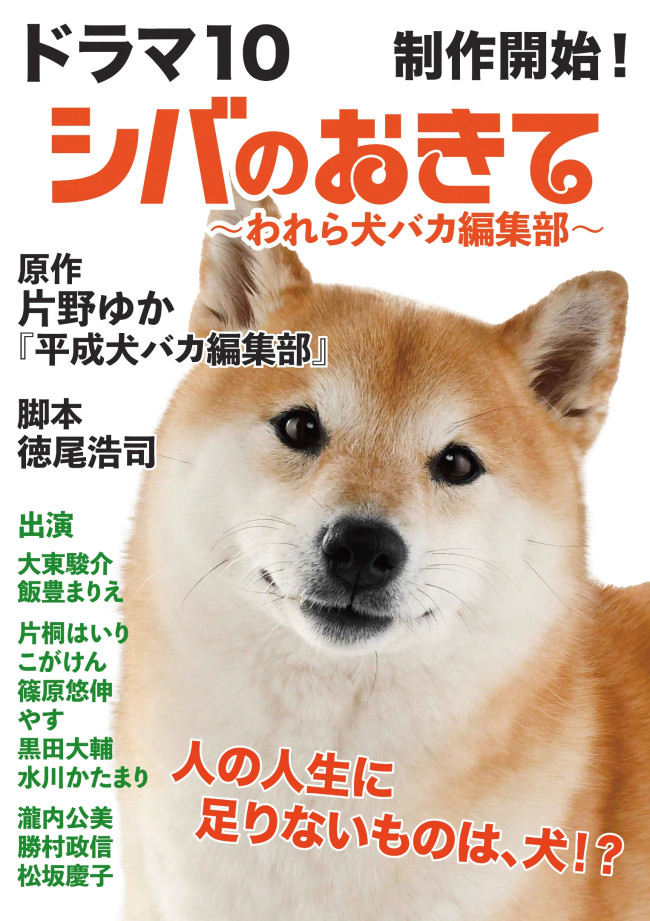 ドラマ10『シバのおきて～われら犬バカ編集部～』メインビジュアル