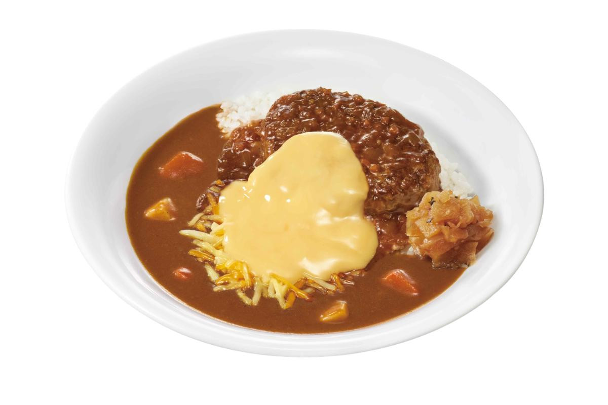 20250501「煮込みハンバーグカレー」