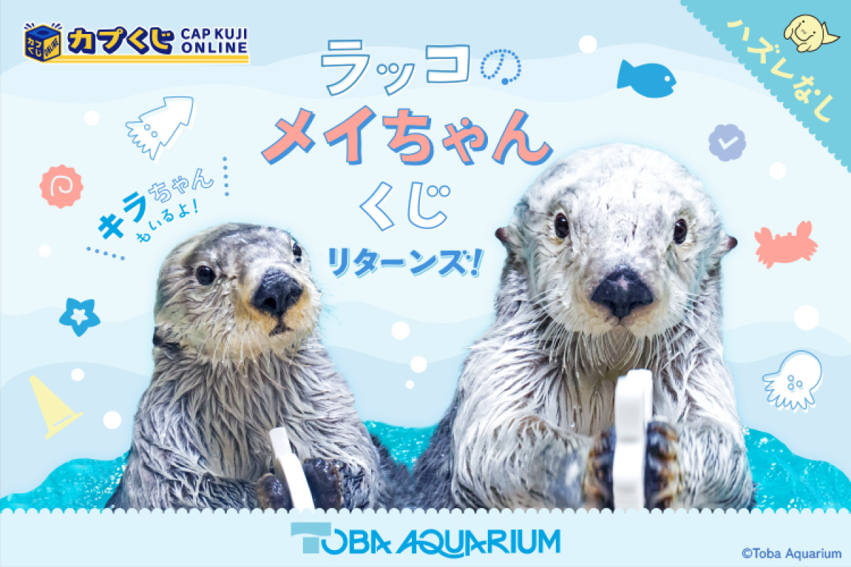 20250509_「カプくじ×鳥羽水族館 ラッコのメイちゃんくじ リターンズ！」