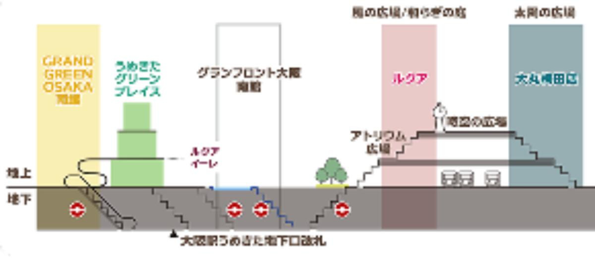 20250618「ポケモン発見大作戦」