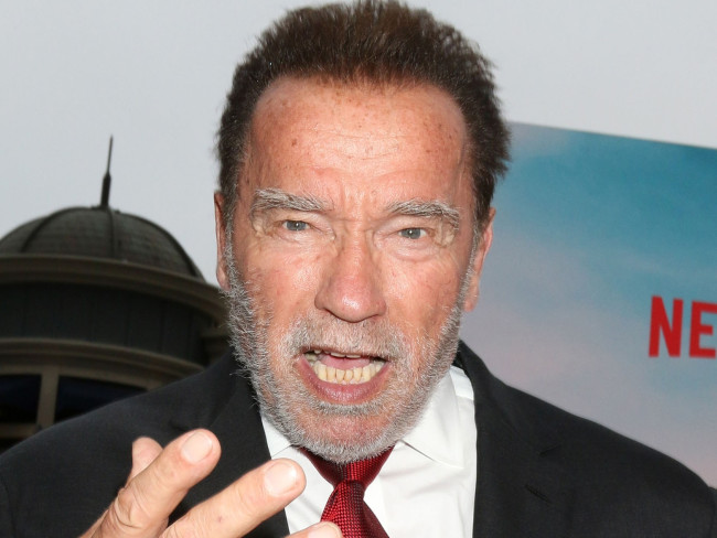 アーノルド・シュワルツェネッガー、息子とマイリー・サイラスの交際を振り返る