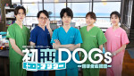 『初恋アンダーDOGs～負け犬と初恋～』