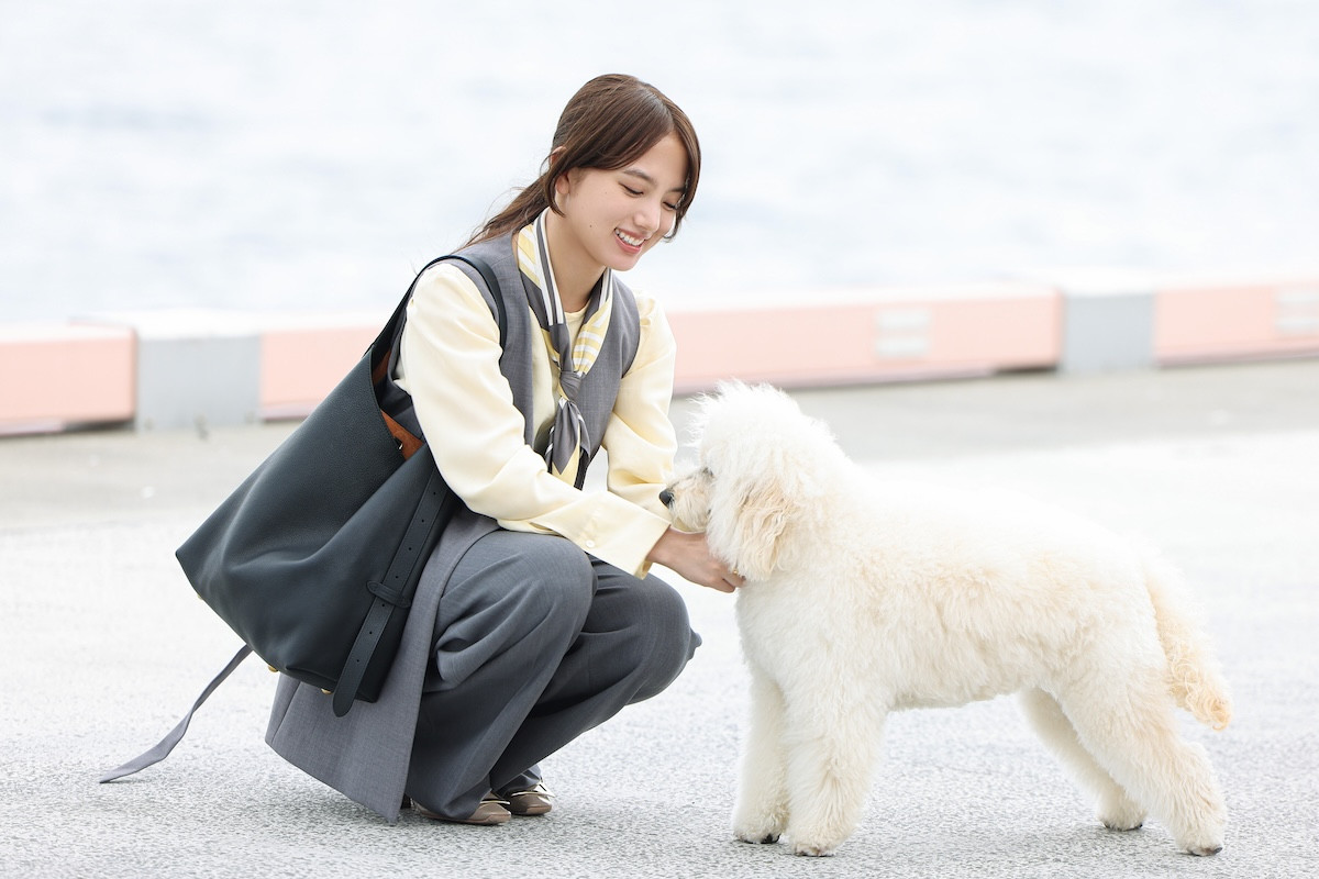 『初恋DOGs』第3話　“愛子”清原果耶、“快”成田凌に幼い日の思い出を打ち明ける