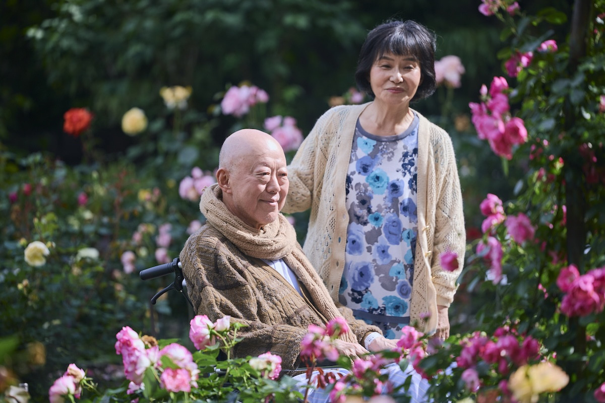『19番目のカルテ』初回　仲里依紗、患者役で涙の熱演　ネット称賛続々「すっごい伝わる」「名優」
