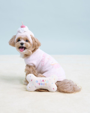 ジェラピケ「犬猫用アニバーサリーコレクション」発売！　カップケーキモチーフのハットなど展開