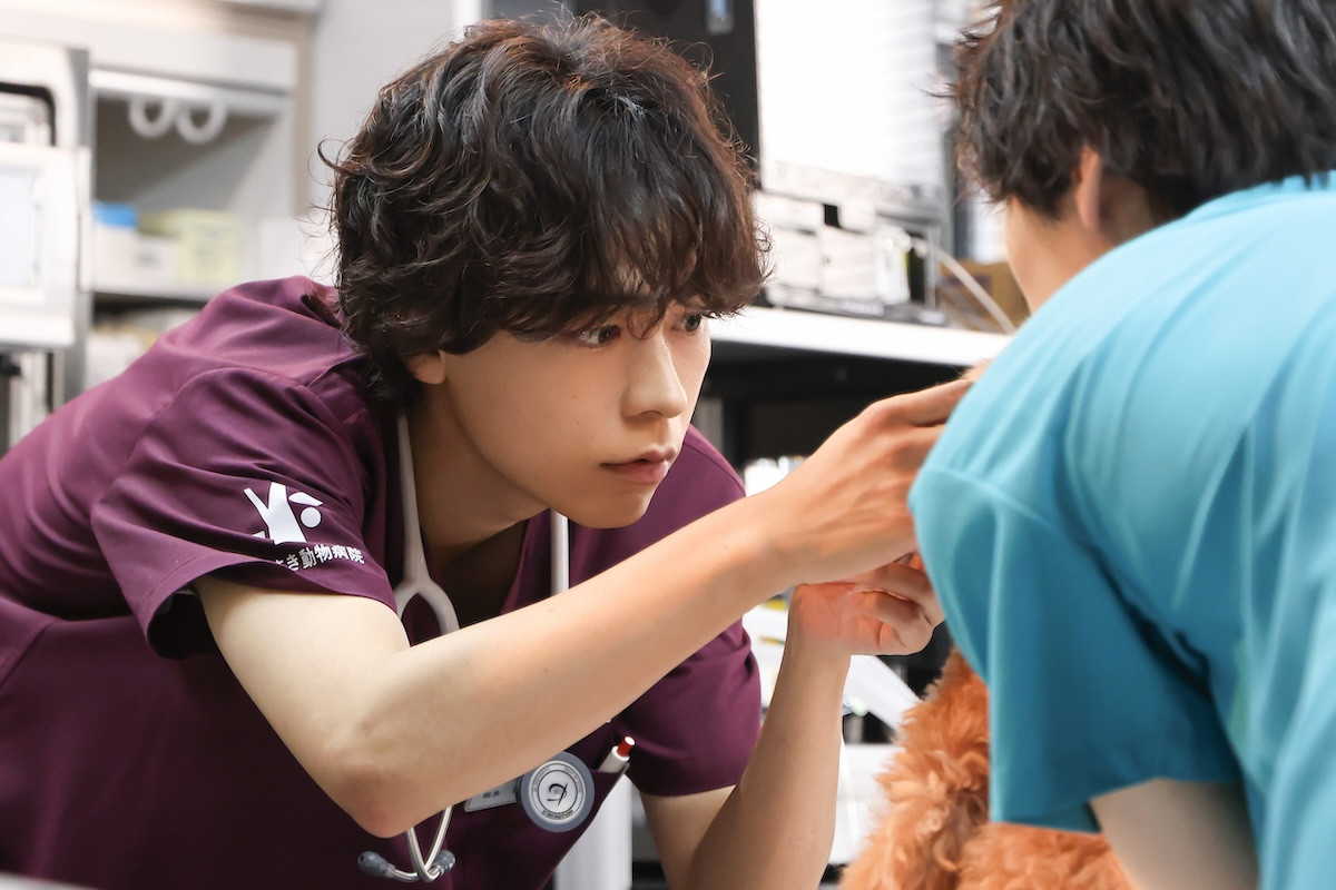 『初恋DOGs』第7話　“愛子”清原果耶、母を交えて“快”成田凌＆“ソハ”ナ・イヌと夕食を囲む