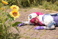 『ナンバーワン戦隊ゴジュウジャー』27話場面カット