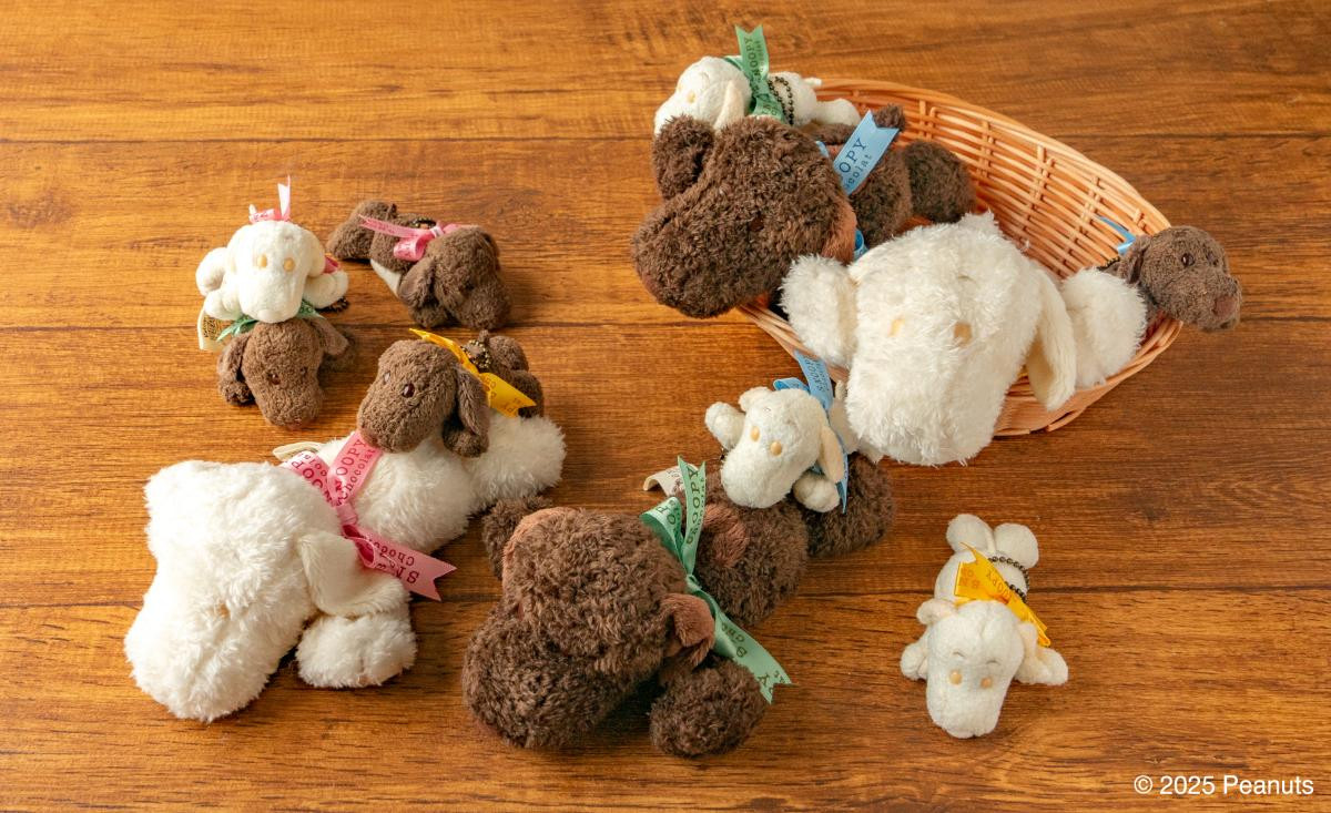250929「SNOOPY Chocolat」