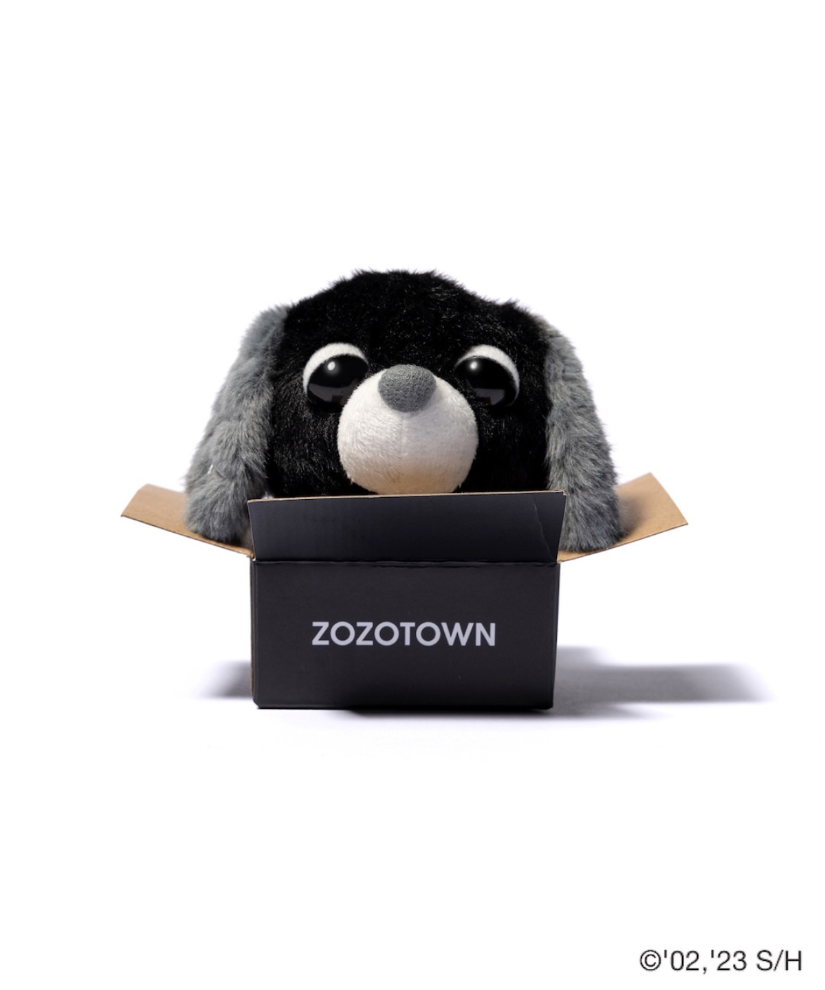 250917_“お茶犬”×「ZOZOTOWN」