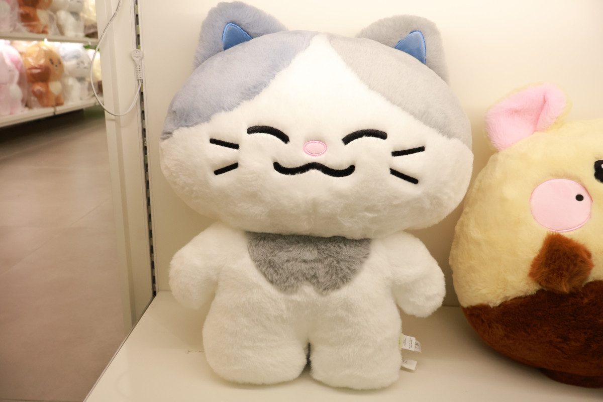 20251024 Dreamiez’s Dream Forest POP‐UP
