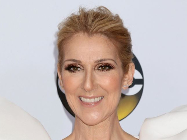 セリーヌ・ディオン、3人の息子とポールマッカートニーのコンサートに