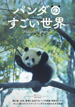 映画『パンダのすごい世界』ティザーポスター