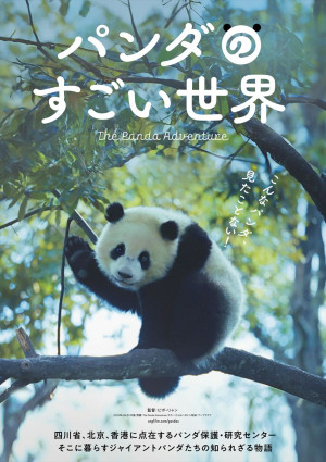 映画『パンダのすごい世界』ティザーポスター