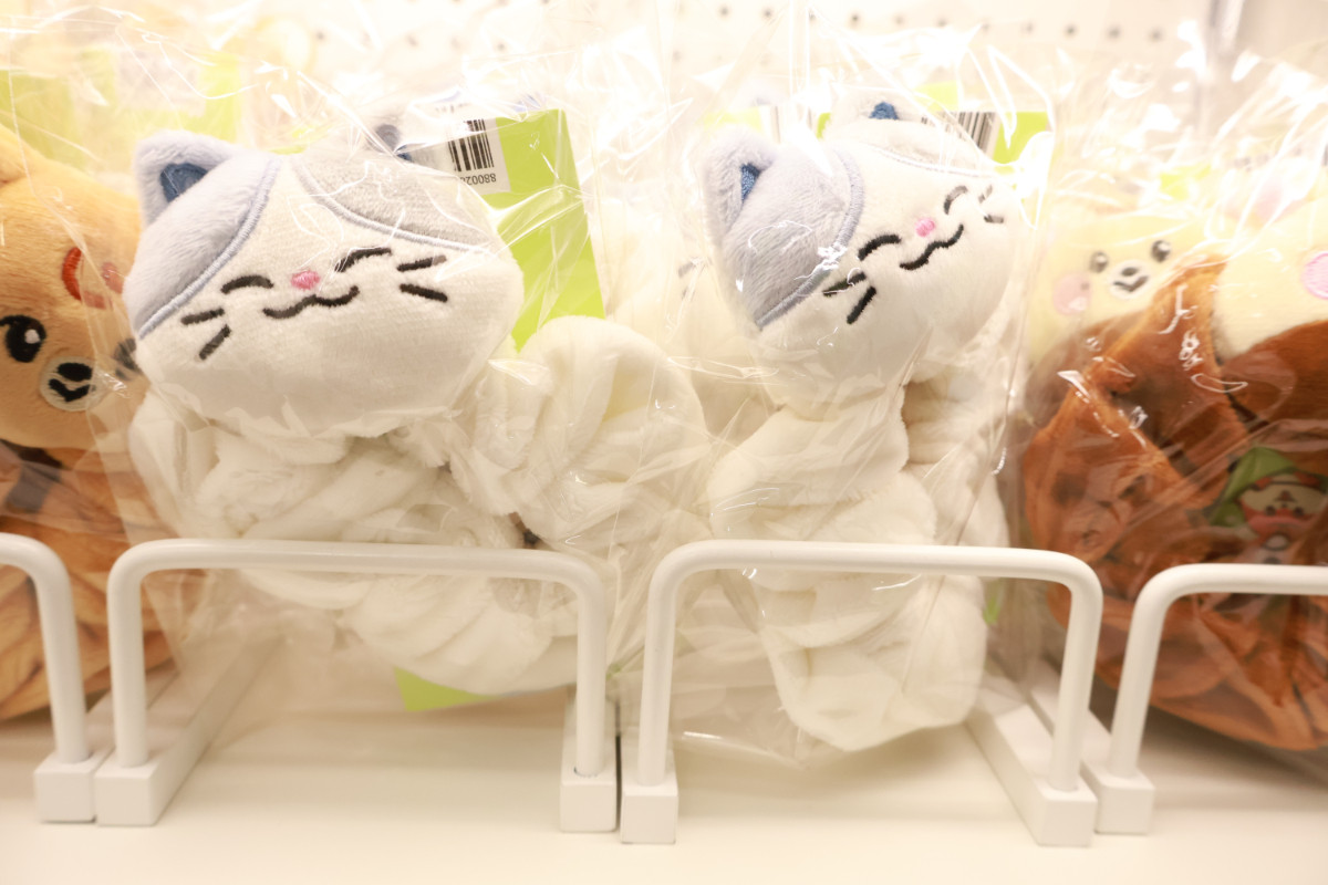 20251024 Dreamiez’s Dream Forest POP‐UP