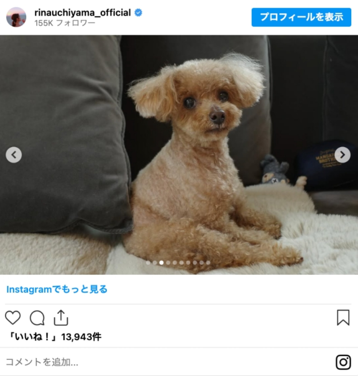 内山理名、44歳を迎えた今の想いを明かす　手料理にも絶賛の声「ご飯屋さんみたい」