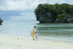 映画『366日』場面写真