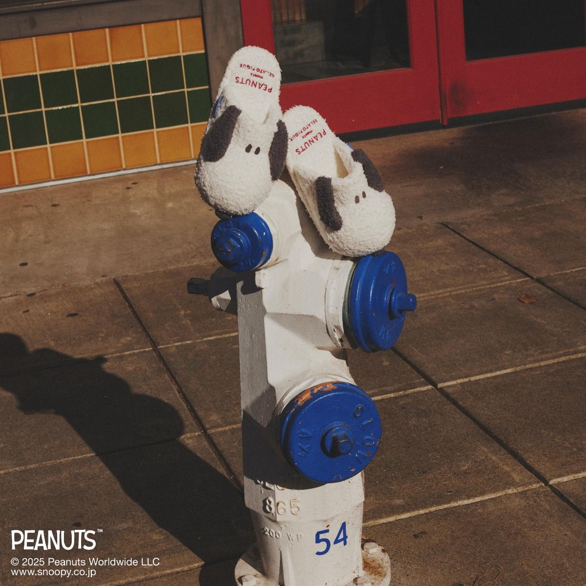20250111「PEANUTS meets GELATO PIQUE」