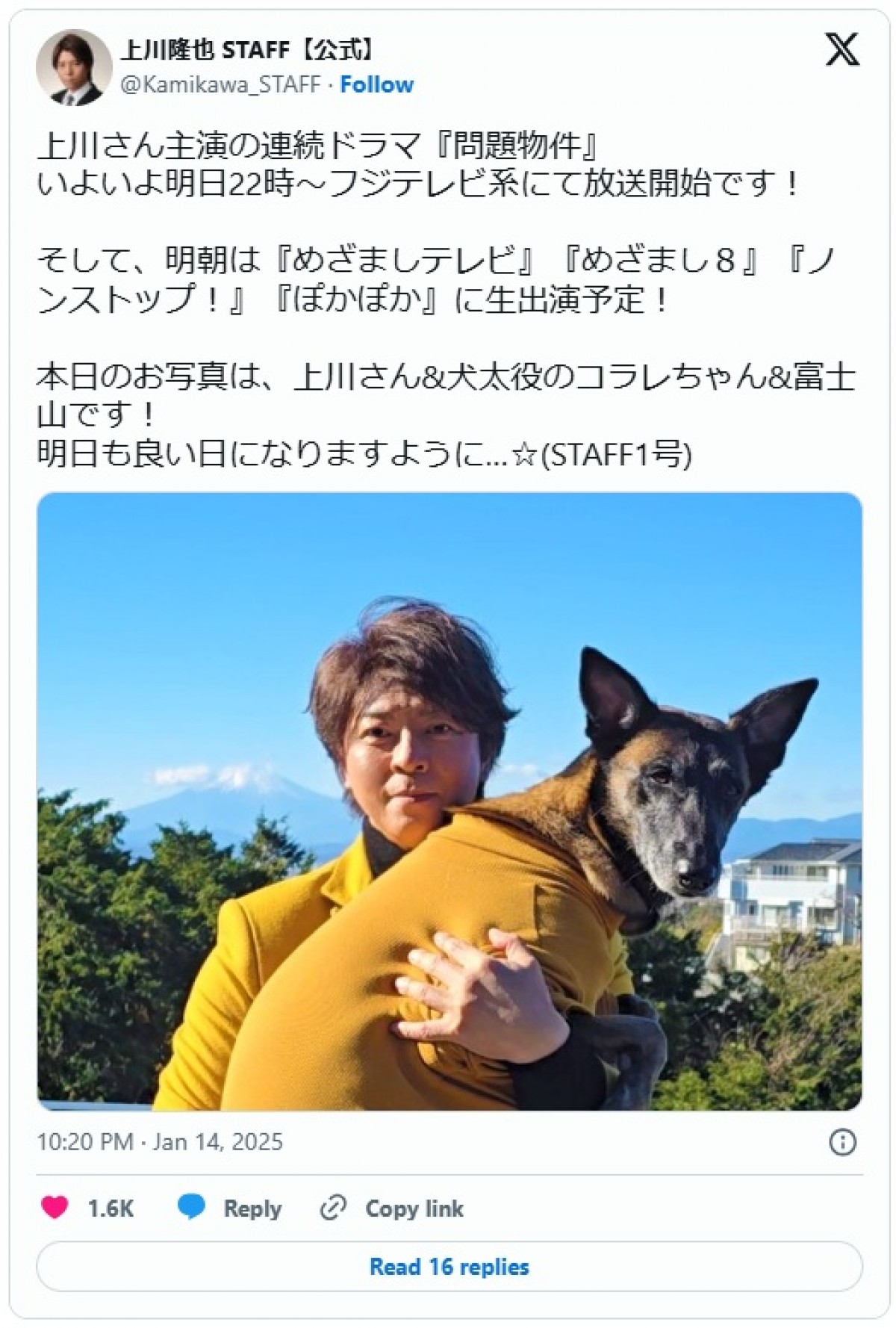 『問題物件』犬太を演じるコラレちゃんが「お利口」と話題！　撮影秘話＆癒しオフショットまとめ