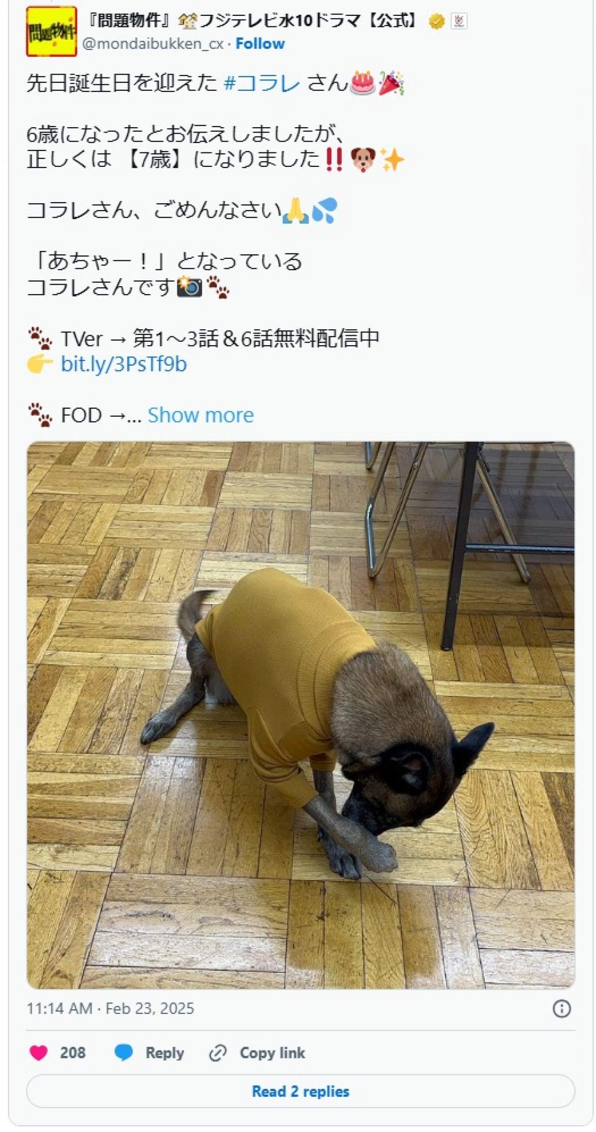 『問題物件』犬太を演じるコラレちゃんが「お利口」と話題！　撮影秘話＆癒しオフショットまとめ