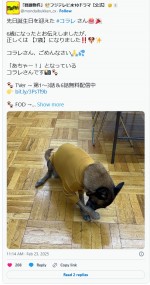犬太を演じるコラレ　※ドラマ『問題物件』公式エックス