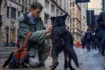 映画『ベイビーガール』場面写真