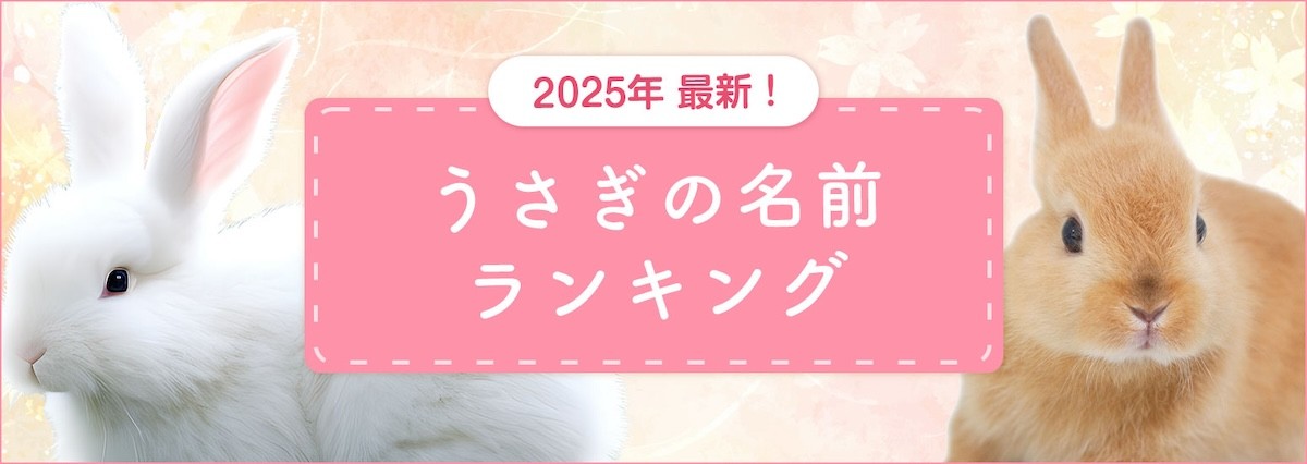 2025.3.5うさぎの名前ランキング