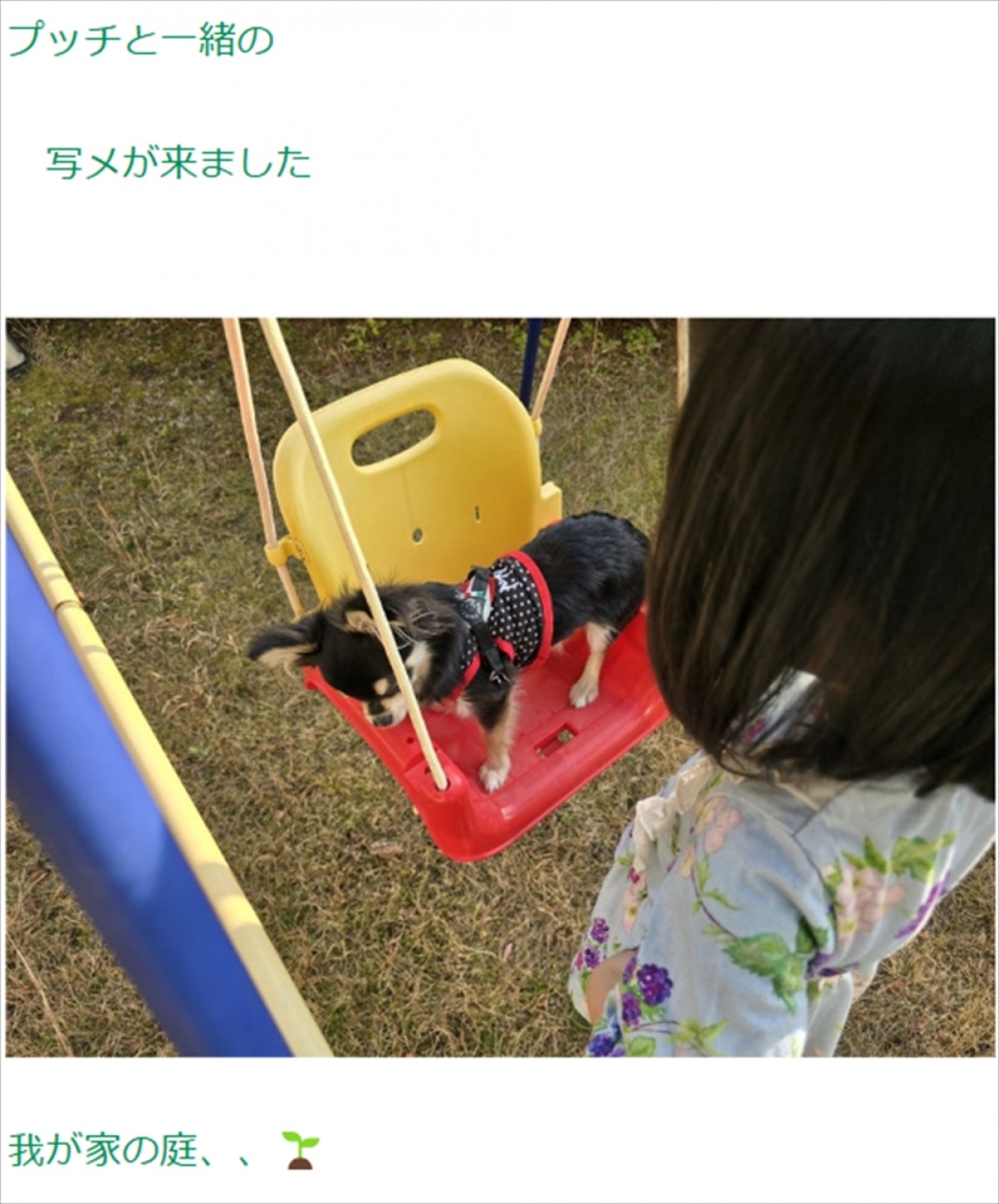 高橋英樹81歳、4歳＆2歳の孫たちにメロメロ「ほほえましい」「可愛いですね」　先日は3ショットも公開