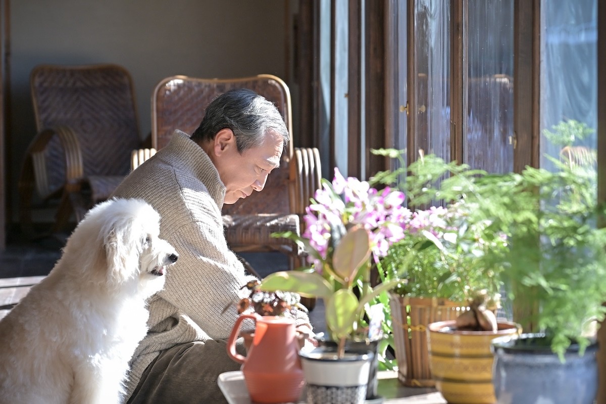 『クジャクのダンス、誰が見た？』第7話　“心麦”広瀬すず、封印されていた家族の秘密を知る