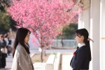 ドラマ『アンサンブル』第8話より