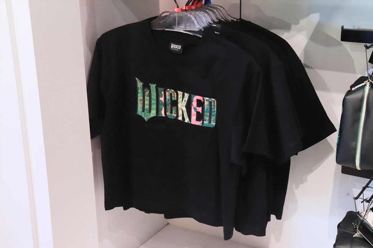 20250316_USJwicked