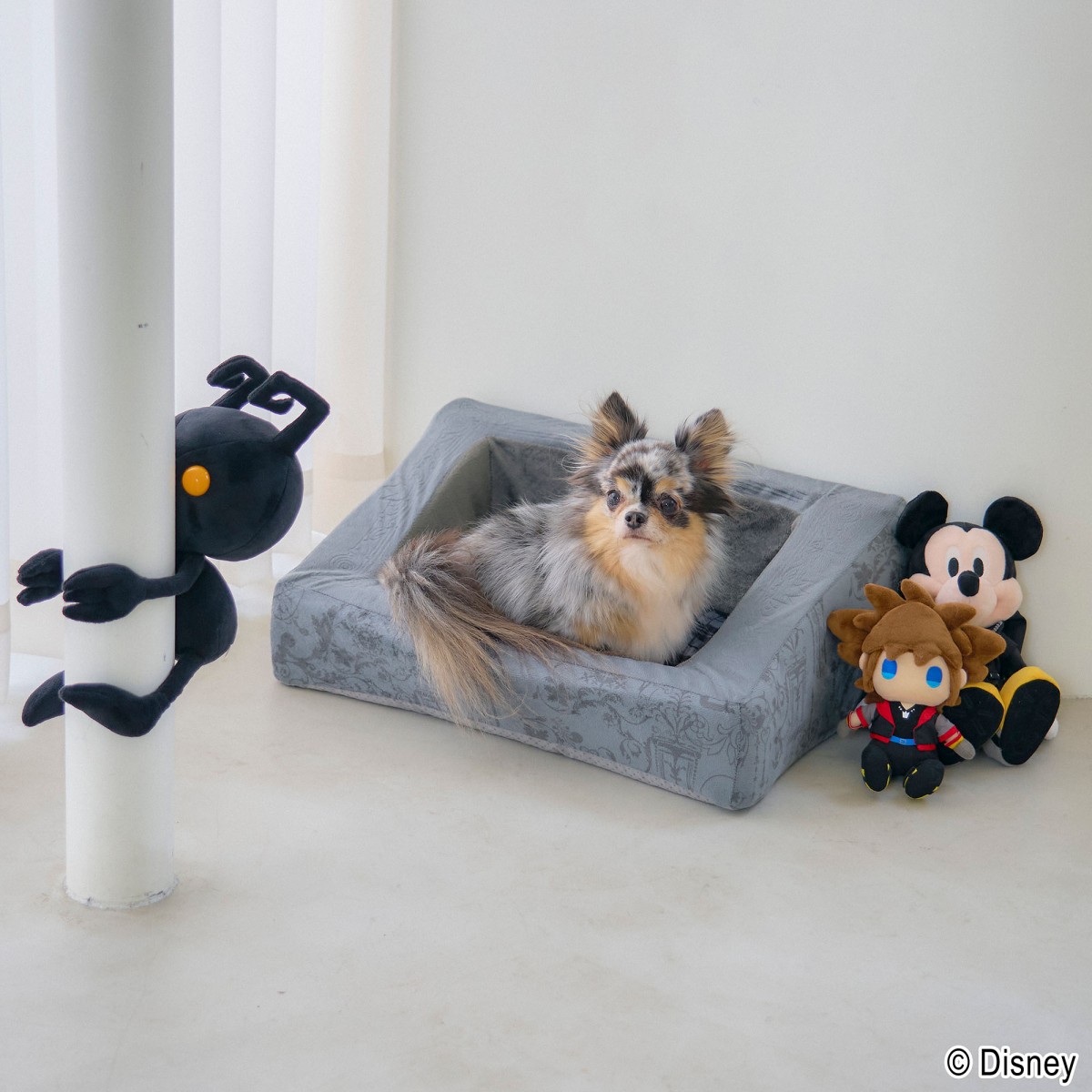 『KINGDOM HEARTS PETs』ペットグッズ＿20250403