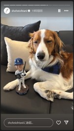 大谷翔平のボブルヘッドとデコピン　※「大谷翔平」インスタグラム