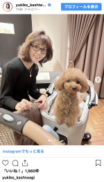 愛犬と癒やしのひと時を過ごす柏木由紀子　※「柏木由紀子」インスタグラム