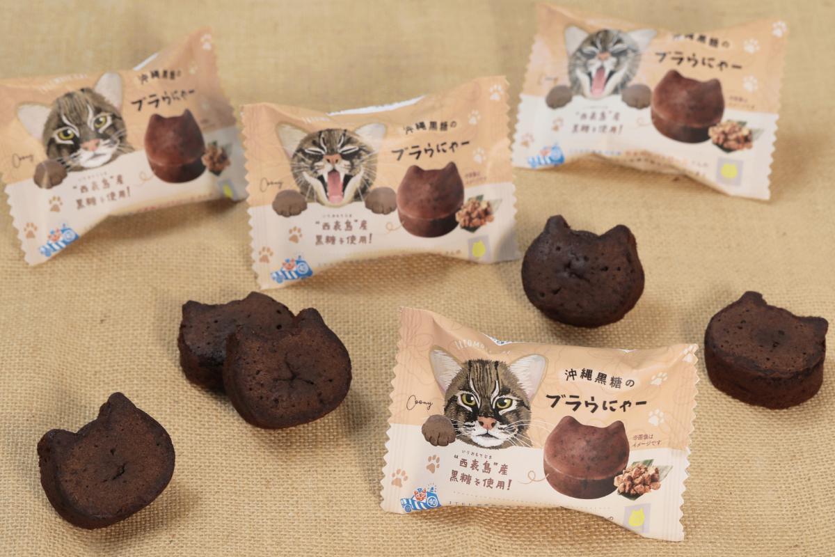 20250526「ねこねこレモン レアチーズケーキ」