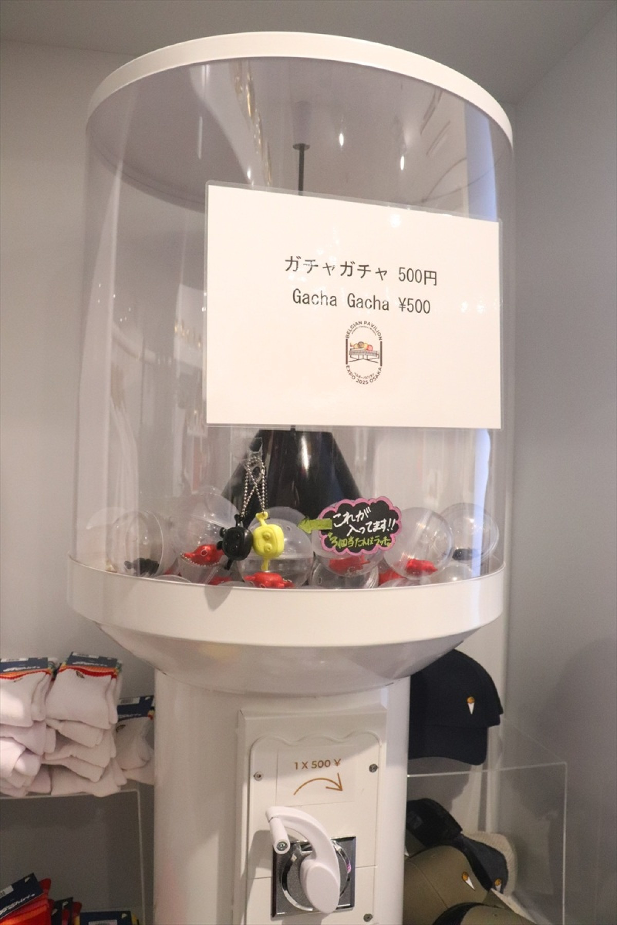 16時から大阪・関西万博を楽しんでみた！