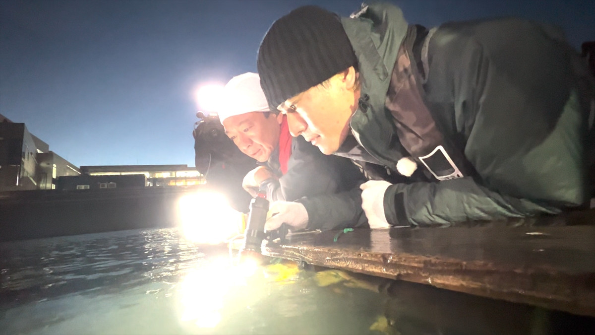 『ザ！鉄腕！DASH!!』城島茂＆森本慎太郎、東京湾周辺に潜む巨大な生き物“ヌシ”たちと大格闘！