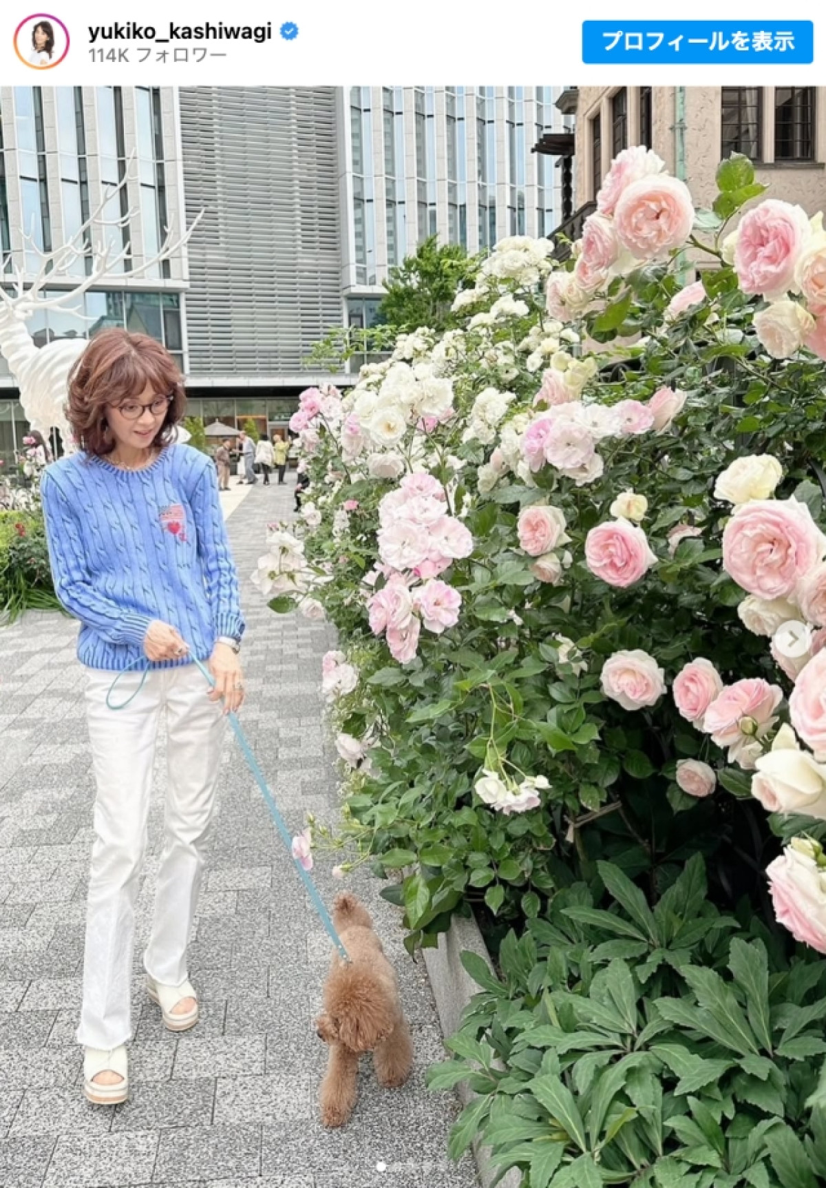 柏木由紀子77歳、爽やかブルーニット姿を披露　※「柏木由紀子」インスタグラム