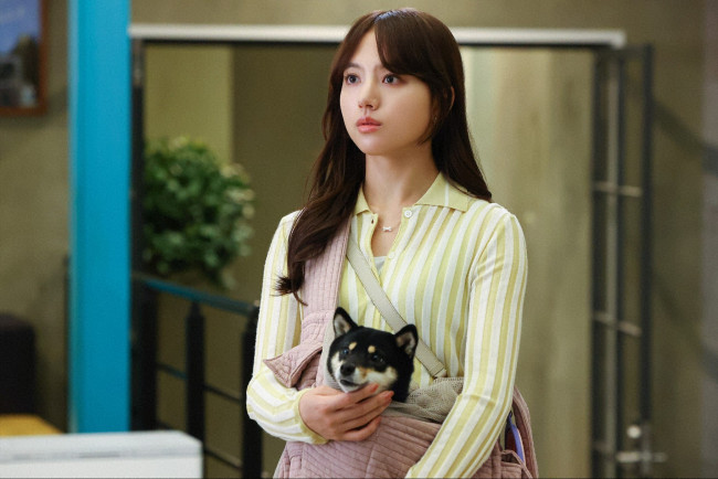 火曜ドラマ『初恋DOGs』第3話より