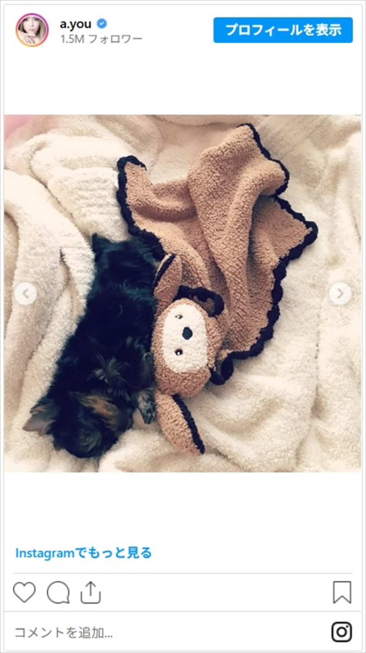 浜崎あゆみ、かわいすぎる“家族”との別れに悲しみ「おーちゃんが居なくなった家はとっても違和感があって寂しいよ」