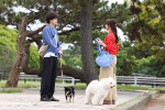 火曜ドラマ『初恋DOGs』第2話より