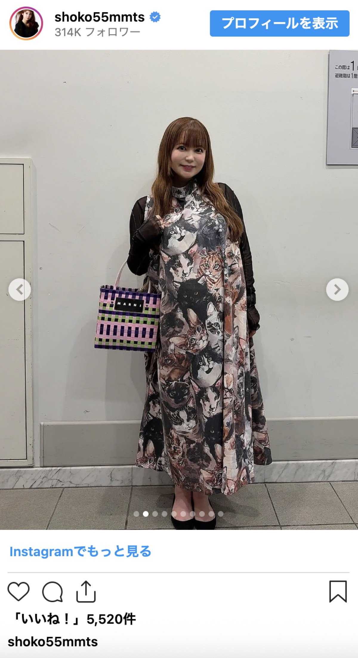 第1子妊娠中の中川翔子、自炊生活を満喫　手作り料理の数々に「本当に美味しそう」