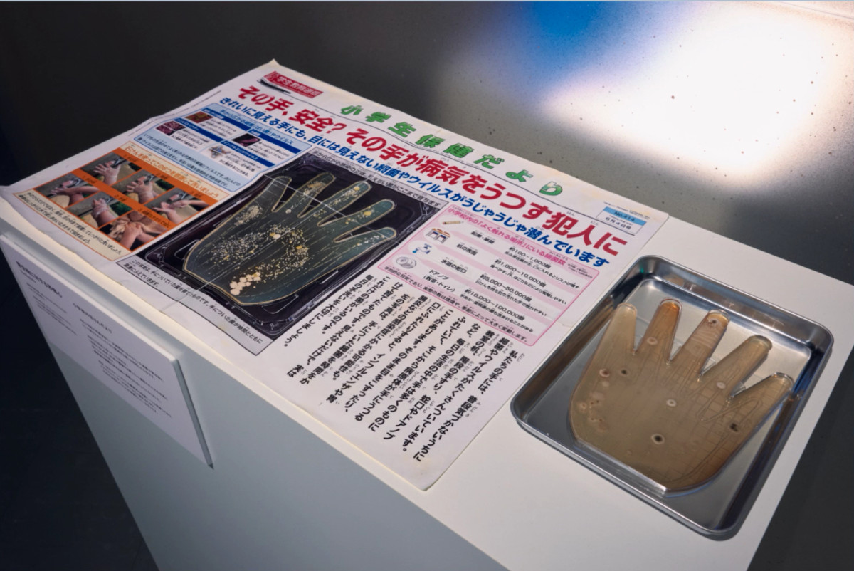 20250808  恐怖心展