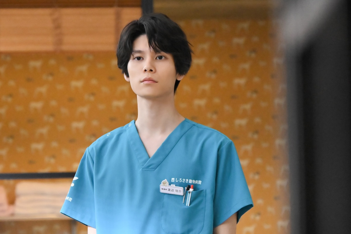 『初恋DOGs』第6話　“愛子”清原果耶、好意を打ち明けるも“快”成田凌は謎の行動