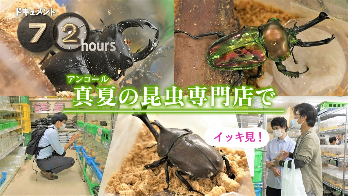 ドキュメント72時間「大谷翔平SP」放送決定　ロサンゼルス＆岩手・奥州にて人々が胸に抱くスーパーヒーローへの思いに耳を傾ける
