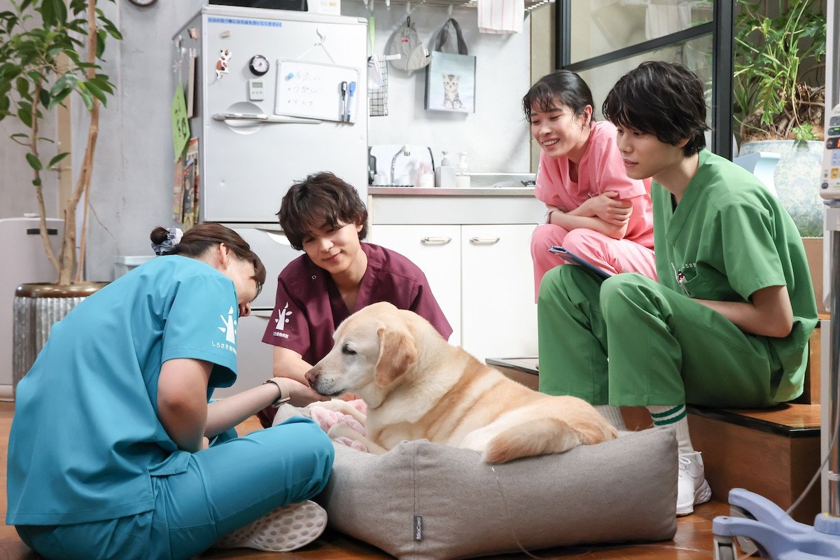 『初恋DOGs』第6話　“愛子”清原果耶、好意を打ち明けるも“快”成田凌は謎の行動