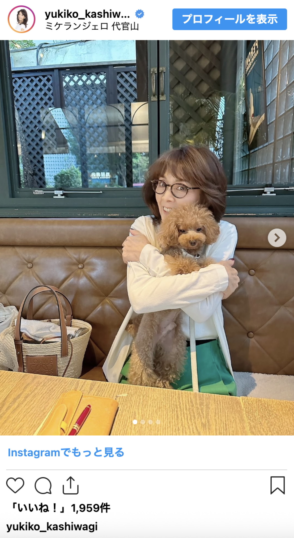柏木由紀子77歳、変わらぬ美しさと愛犬との日常に「とっても素敵」「可愛い」