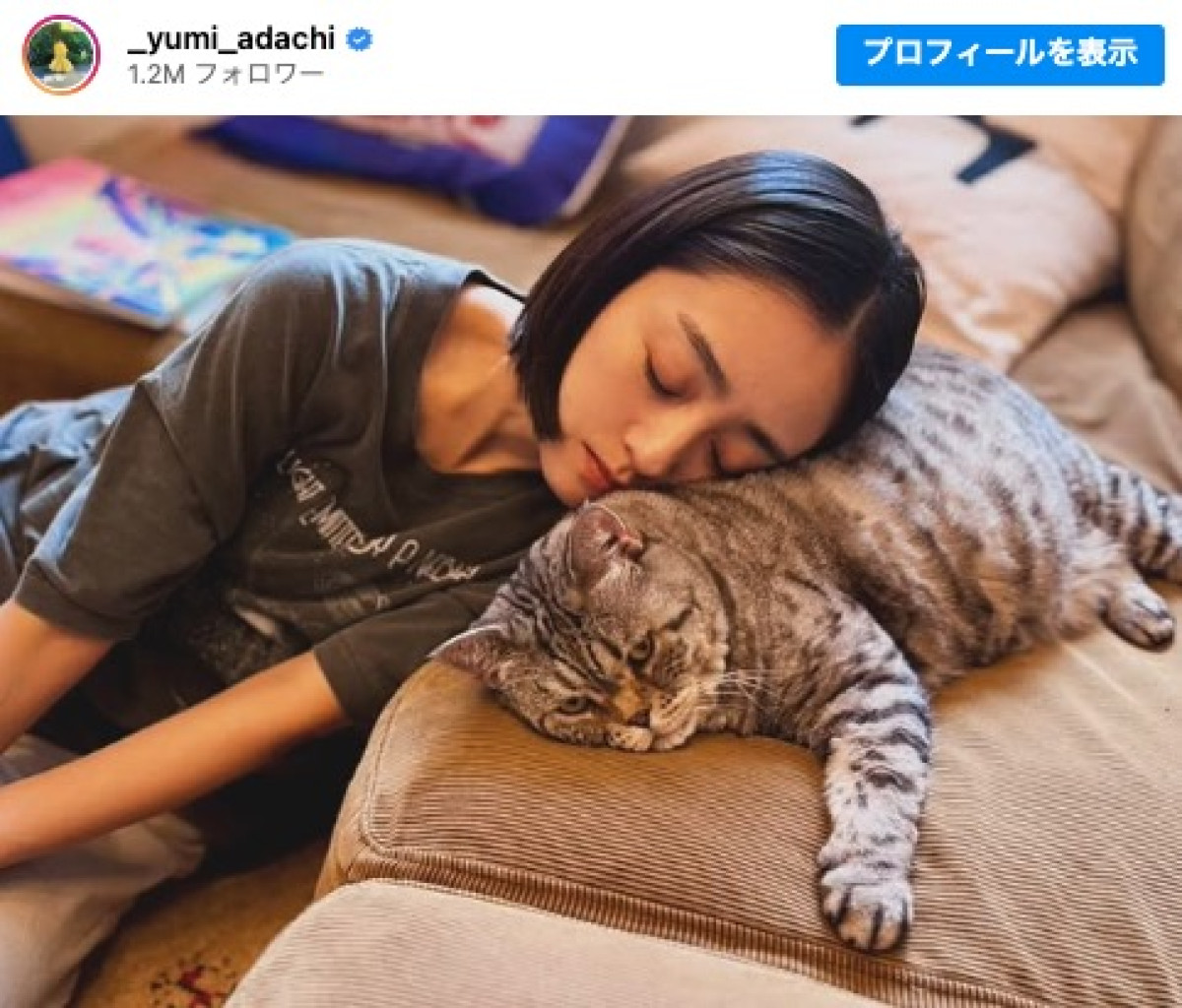 愛猫に寄りかかり、寝落ちしてしまった安達祐実 ※「安達祐実」インスタグラム