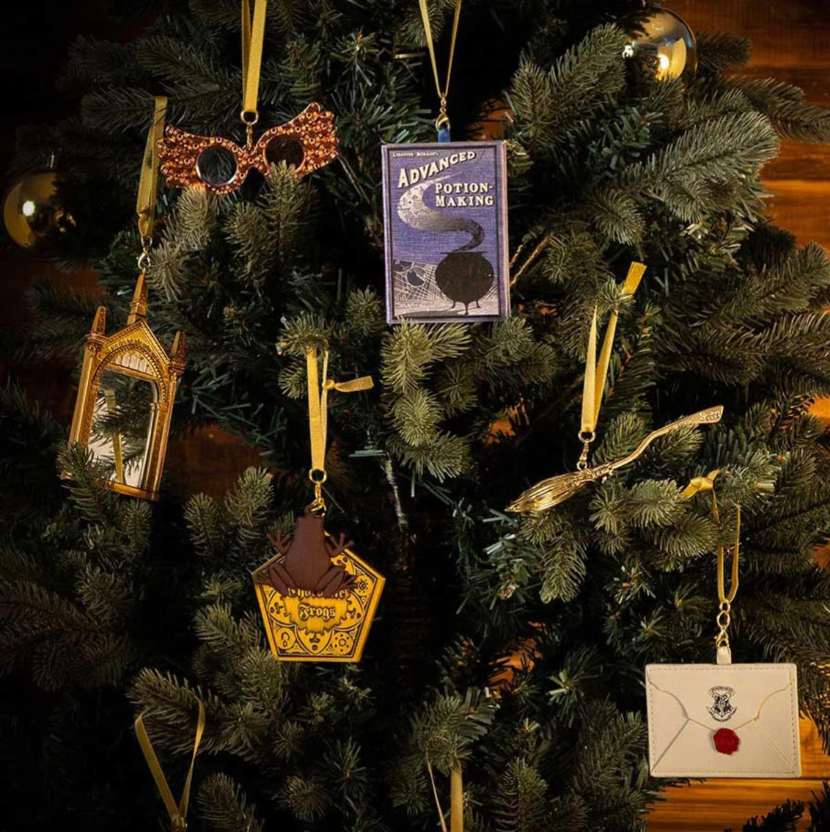 251029『ハリー・ポッター』