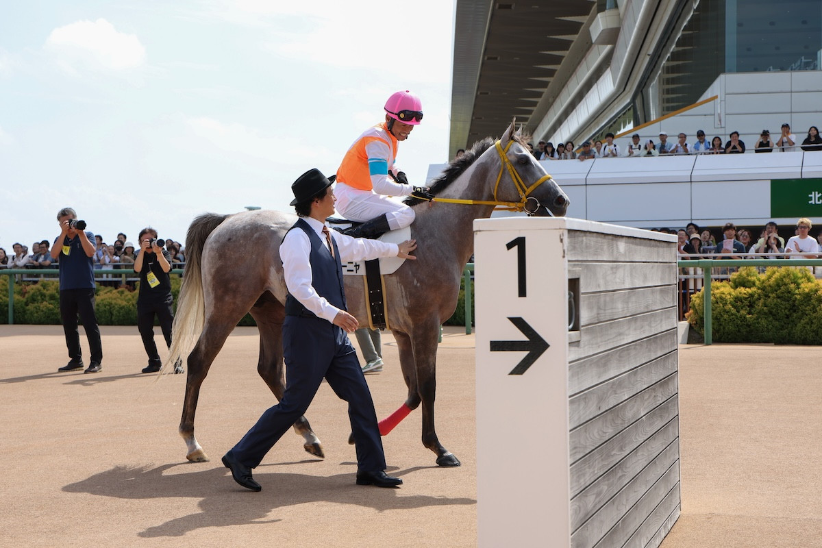 『ザ・ロイヤルファミリー』“栗須”妻夫木聡、まさかのレース展開に涙　ネット大興奮「激アツすぎる」「本気で号泣」（ネタバレあり）